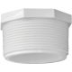 038561006117 2IN PVC SCH40 MIP PLUG