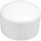 038561006544 2 1/2IN SLIP CAP