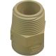 038561012163 1IN CPVC MIP ADAPTER