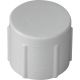 1/2IN PVC SCH40 FIP CAP
