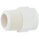 3/4IN CPVC MIP ADAPTER
