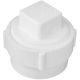038561716207 2INPVC-DWV FITTING W/PLUG