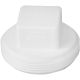 038561718201 2IN PVC-DWV MPT PLUG