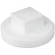 4IN PVC-DWV MPT PLUG