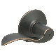 ABRZ ACCENT PRIVCY LEVER