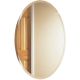 21X31X4 OVAL MED CABINET