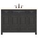 BH4821D 48X21 VANITY