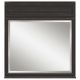 BH 36X38 MIRROR BH3638MR