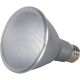 S9431 13W PAR30 LED LN NK BULB