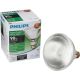 419408 72PAR38 HALOGEN BULB