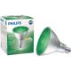 469098 LED 100W PAR38 GRN BULB