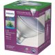 532969 16W PAR38 LED GRLHT BULB
