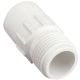3/4MHTX1/2 SLIP PVC Hose AdapT.