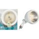 LL1000W 13W WH LED FLOODLIGHT