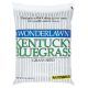 3LB KY BLUEGRASS SEED