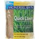 3LB LAWN GRASS SEED