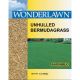 2LB UNHULLED BERMUDA SEED