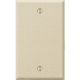 IV BLANK STL WALL PLATE