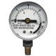 PRESSURE CANNER GAUGE