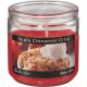 Candle-Lite Apple Cinnamon Crisp 3.5oz