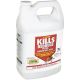 GAL OIL BAS BEDBUG SPRAY