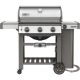 66000001 GEN II S310 NG SS GRILL