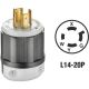 021-02411-0PB 20A 125/250V LOCK PLUG