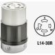 021-02713-0PB 30A125/250V LK CONNECTOR