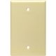 IV BLANK WALL PLATE
