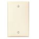 IV BLANK WALL PLATE