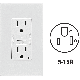 C32-GFNT1-0PW 15A WH SLFTS GFCI OUTLET