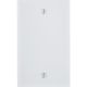 WHT BLANK WALL PLATE