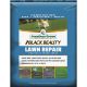 10448 300SQFT LAWN REPAIR