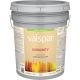 EXT SAT WHITE PAINT