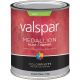 EXT SAT PASTEL BS PAINT