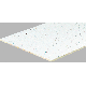 081098003050 2X2 RADAR CEILING PANEL
