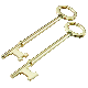 2PK SKELETON KEY