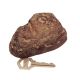 ROCK KEY HIDER