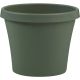 50406 6IN LIVING GREEN POLY POT