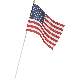 48PK 8X12 DISP CUP FLAG